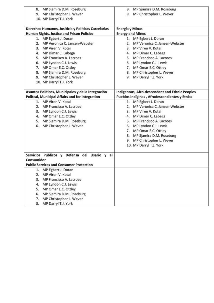 17 Permanent And Ad hoc Parliament Com. 11 Latin American Parliament (Parlatino) Committees