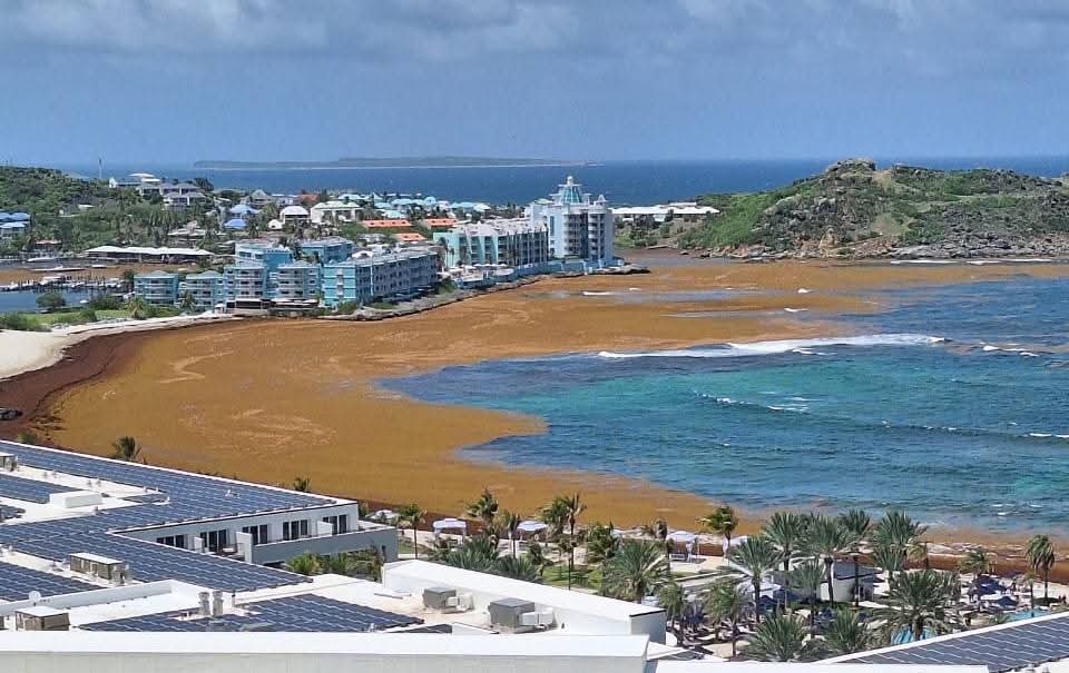 St Maarten Battles Sargassum Invasion Head-On