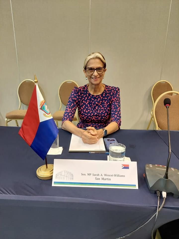 Wescot Williams participated in Political Dialogue Parlatino Board of Directors (Junta Directiva)