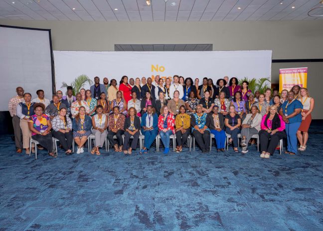 Working Together for a Future Without Domestic Violence and Violence Against Women